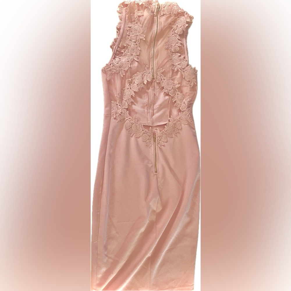 Pink Dress - Picture 3 of 4